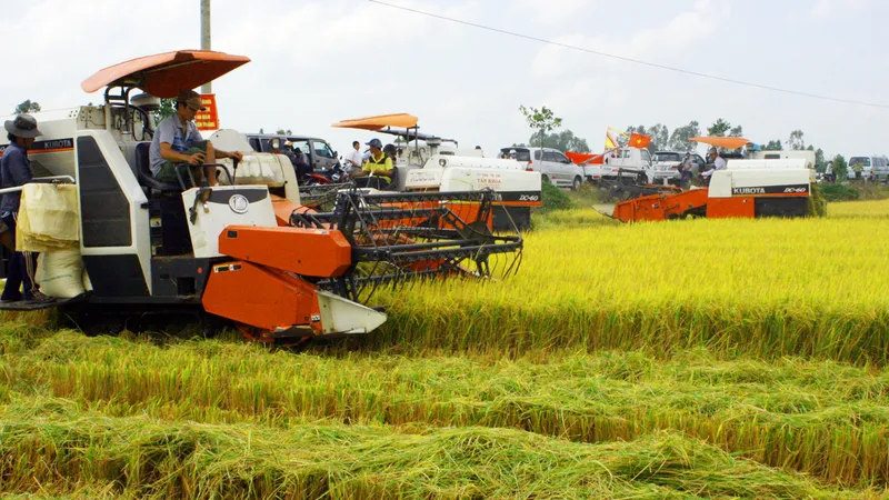 Đầu tư công nghệ tạo đột phá cho hạt gạo