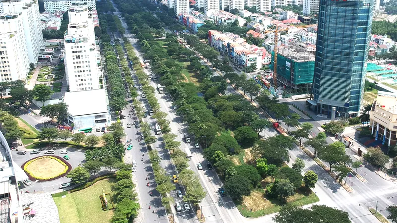 Nhiều vướng mắc trong quản lý cây xanh đô thị