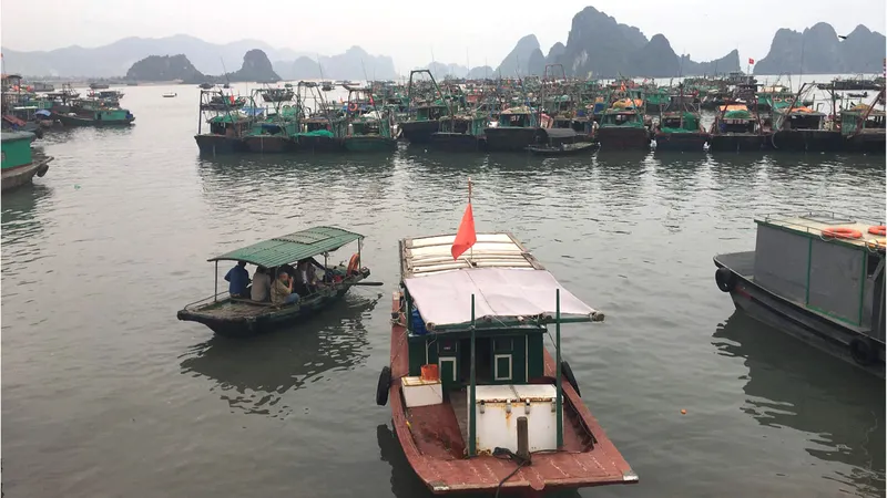 Chờ đợi “thẻ vàng” được gỡ