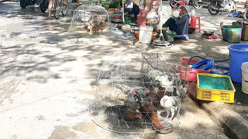 Coi thường sức khỏe cộng đồng