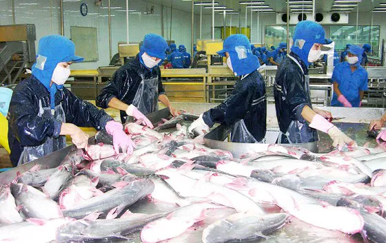 ĐBSCL: Thủy sản, trứng gia cầm tiếp tục sụt giá