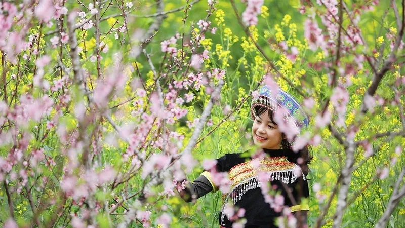 Giới trẻ ngỡ ngàng trước vẻ đẹp Fansipan mùa Xuân