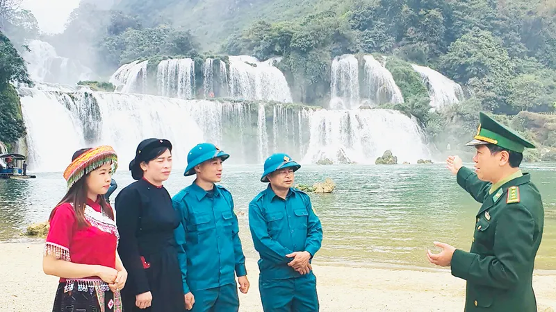 “Cây sa mộc” trên thác Bản Giốc