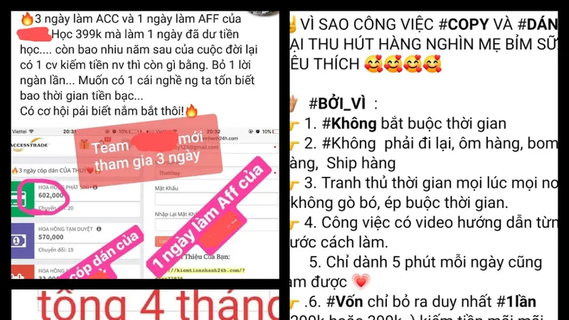 Những lời quảng cáo cùng khoản thu nhập khủng nhằm chiêu dụ thành viên tham gia