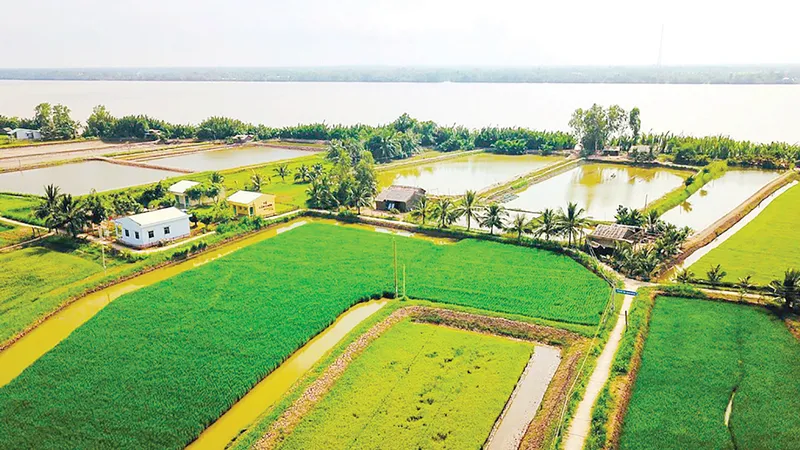 Ngọt ngào Cồn Chim!