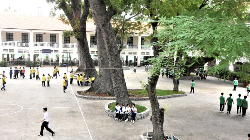 Tìm giải pháp tối ưu quản lý cây xanh trong trường học