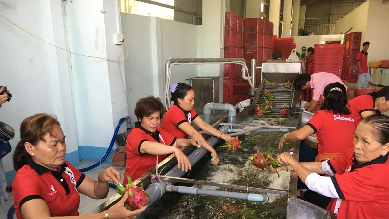 Nông sản cần nâng cao chất lượng đáp ứng yêu cầu của thị trường EU