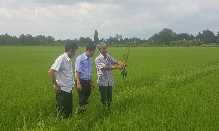 Đảng viên Dương Văn Sóc, Chi bộ ấp Đông Hiển A, xã Đông Thuận, huyện Thới Lai (TP Cần Thơ) với mô hình nhãn, cá mang lại hiệu quả kinh tế cao