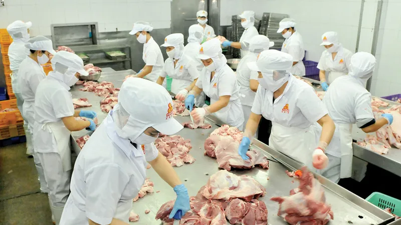 Chế biến thịt heo tại Công ty Vissan. Ảnh: CAO THĂNG
