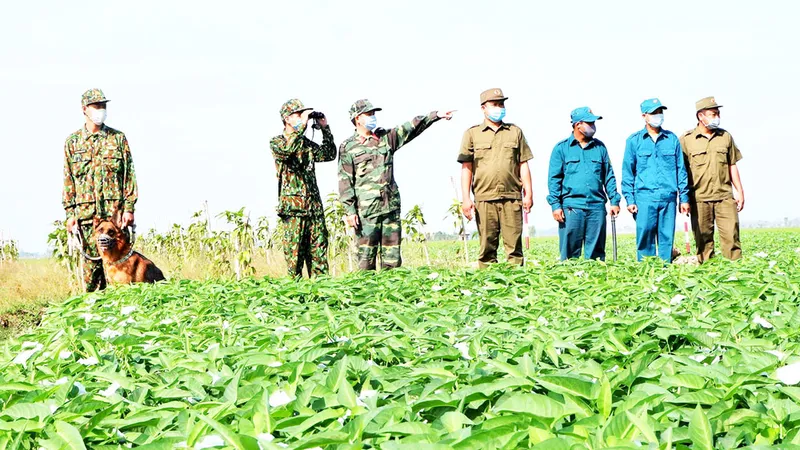 Tăng cường tuần tra kiểm soát chặt người qua lại tuyến biên giới An Giang từ nay đến Tết Tân Sửu