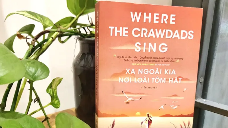 Mạnh mẽ hơn trong mất mát