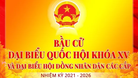Quyền bầu cử của cử tri có giống nhau không?
