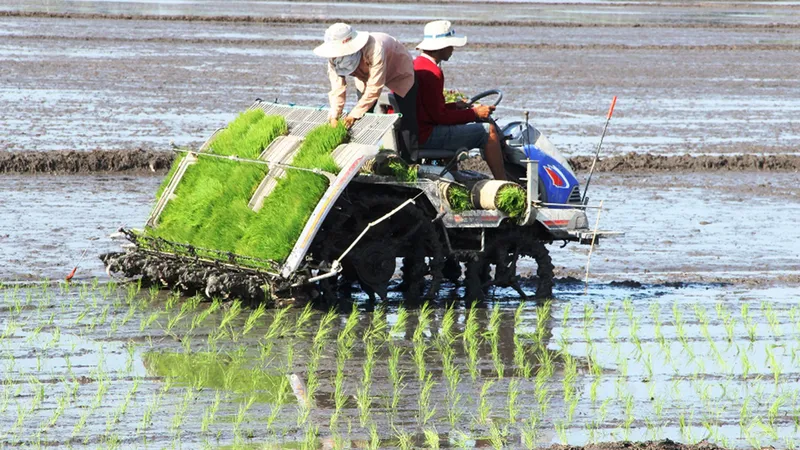 Tín hiệu tích cực từ ngành nông nghiệp