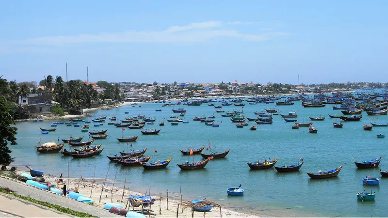 Nam Trung bộ nỗ lực gỡ “thẻ vàng” thủy sản