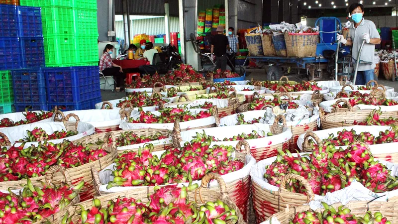 Đẩy mạnh kết nối xuất khẩu nông sản vùng dịch