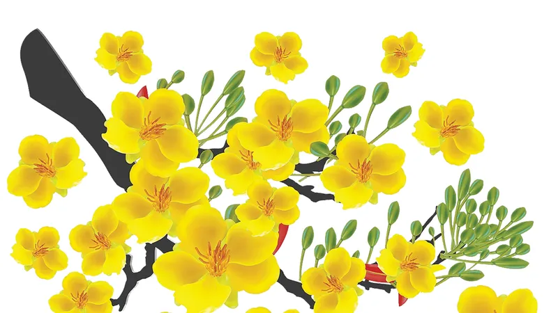 Nhìn về phía sáng