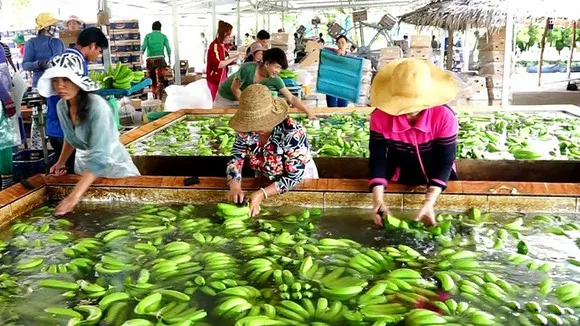 Quý 1, nông lâm thủy sản xuất siêu 3 tỷ USD
