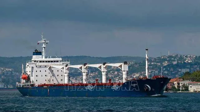 Tàu Razoni mang cờ Sierra Leon chở 26.000 tấn ngũ cốc của Ukraine di chuyển dọc Eo biển Bosphorus qua Istanbul, Thổ Nhĩ Kỳ ngày 3-8-2022. Ảnh: AFP/TTXVN