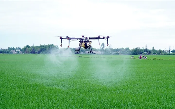 Hướng tới sử dụng thiết bị bay không người lái phun thuốc bảo vệ thực vật cho nông nghiệp