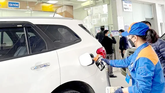 Doanh nghiệp xăng dầu không được thông quan vì nợ thuế hơn 684,4 tỷ đồng