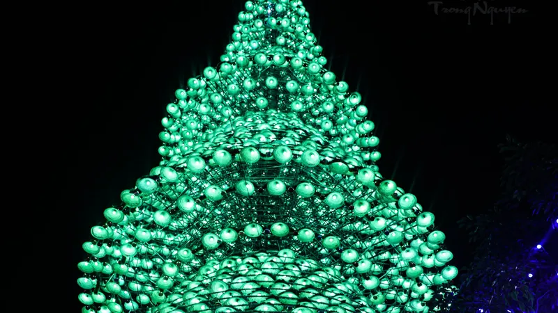 Đồng Nai: Người dân háo hức đi chơi lễ Noel