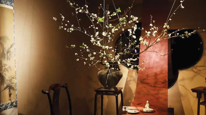 Tết đâu chỉ "mai Nam đào Bắc"