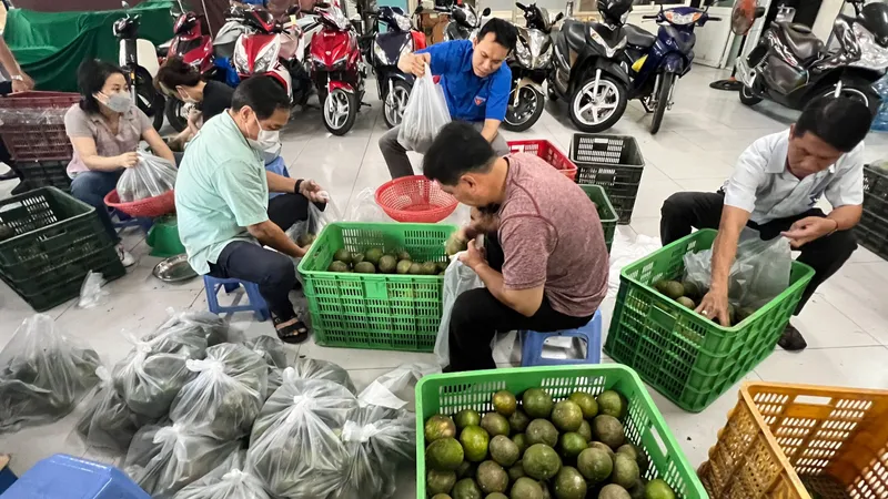 Quận 5 bán giúp nông dân Vĩnh Long hơn 15 tấn cam sành