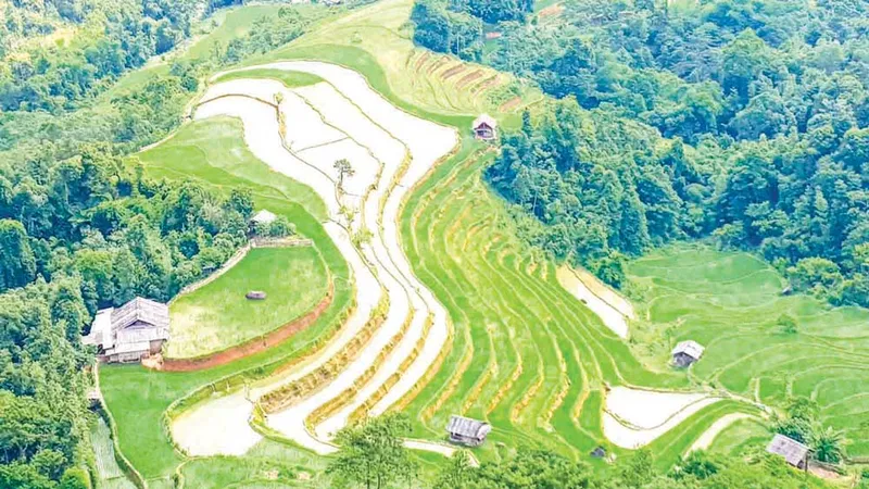 Hoàng Su Phì luôn là điểm hẹn không thể bỏ lỡ mỗi dịp tháng 5, tháng 6 khi mùa nước đổ về