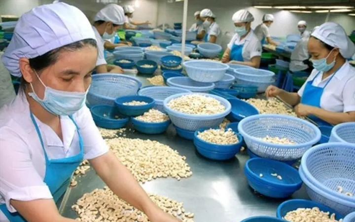 Doanh nghiệp xuất khẩu tiêu, điều có dấu hiệu bị lừa đảo