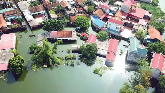 Ảnh hưởng của El Nino: Bão và áp thấp nhiệt đới có thể trái quy luật