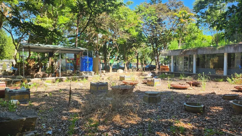Cảnh hoang phế bên trong dự án Trường Tiểu học và THCS dân lập Thanh Hóa