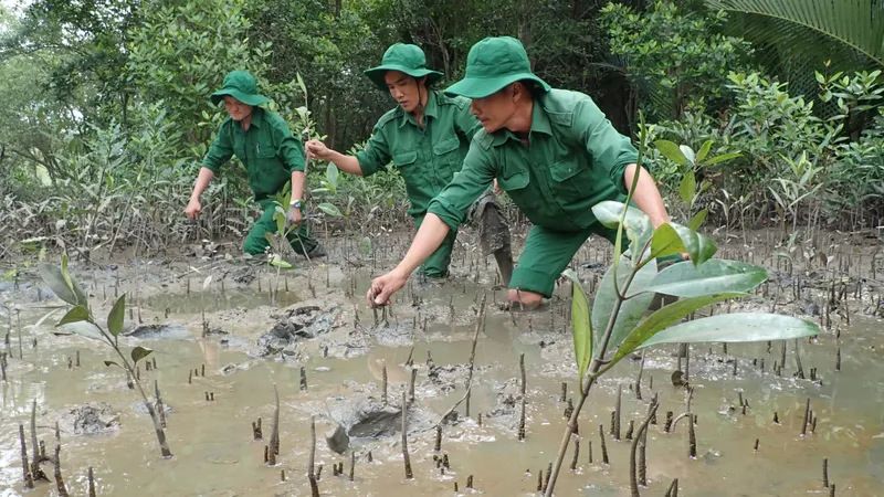 Phát triển thị trường tài chính xanh và tín chỉ carbon: Chậm triển khai, cơ hội sẽ “trôi” mất