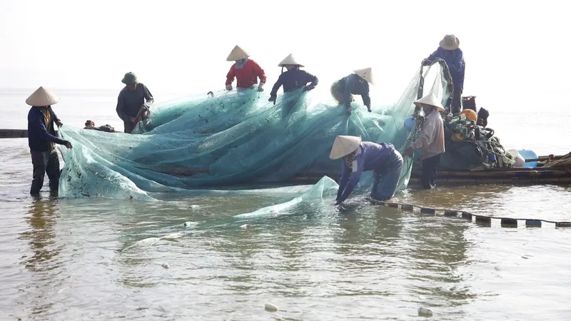 Sôi động mùa cá ngảng