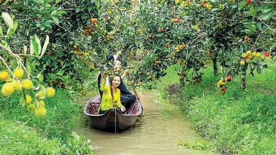 Bước đi vững chắc