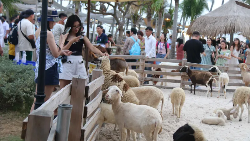 Hấp dẫn du lịch trải nghiệm trên miền nắng - gió