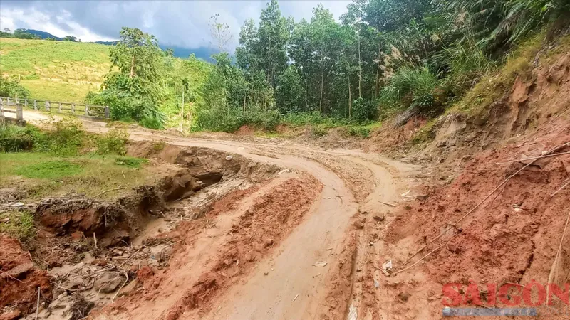 Quảng Ngãi: Cận cảnh đường vào thôn Tre bị xói lở nghiêm trọng