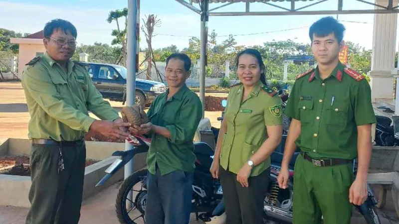 Bình Phước: Người dân giao tê tê cho kiểm lâm thả về rừng 