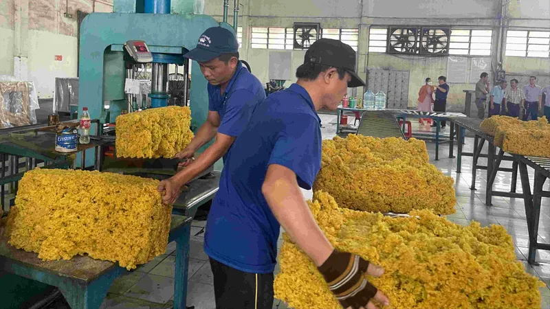 VRG đạt lợi nhuận trước thuế hợp nhất hơn 4.000 tỷ đồng