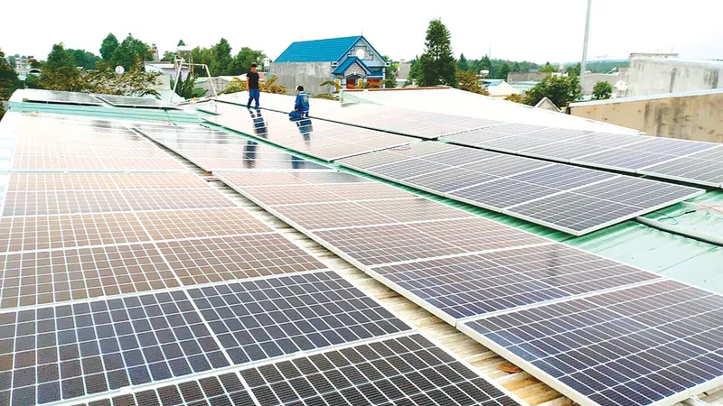 Đắk Lắk thu hồi hơn 13ha đất cho doanh nghiệp thuê sai quy định