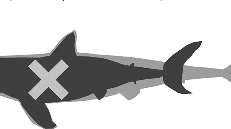 Hình ảnh miêu tả hình dạng cơ thể của Otodus megalodon trước đây (màu đen) và hiện nay (màu xám). Ảnh: CNN