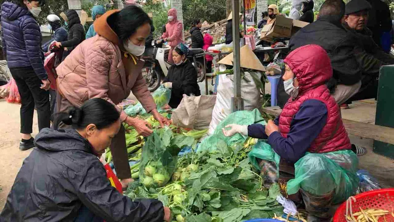 Miền Bắc giá rét, mưa phùn: Người mừng - người lo