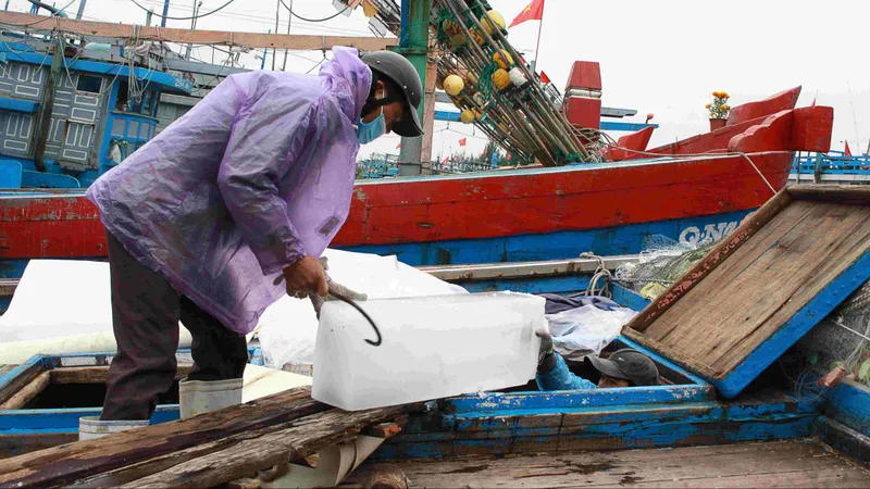 Quảng Ngãi: Đầu năm, tàu cá lo thiếu lao động biển