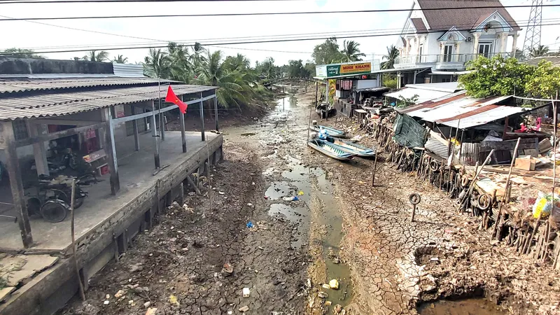 Kênh mương trong vùng ngọt hóa huyện Trần Văn Thời (tỉnh Cà Mau) bị khô cạn. Ảnh: TẤN THÁI