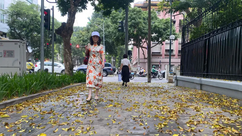 Hà Nội trong mùa lá rụng