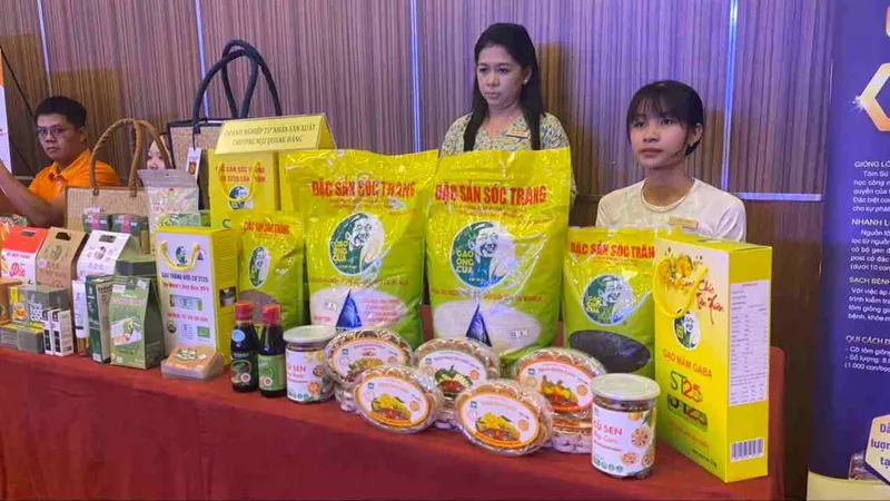 Đảm bảo hồ sơ truy xuất nguồn gốc để giữ uy tín gạo Việt Nam
