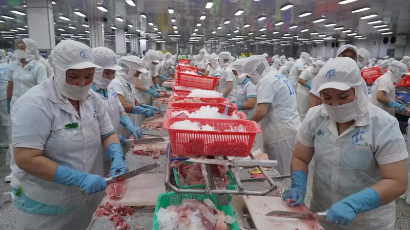 Chế biến cá tra xuất khẩu tại một khu công nghiệp ở ĐBSCL