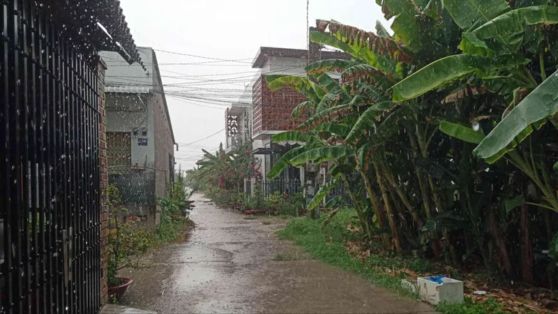 “Mưa vàng” giải nhiệt cho Kiên Giang, Đồng Tháp, Cần Thơ