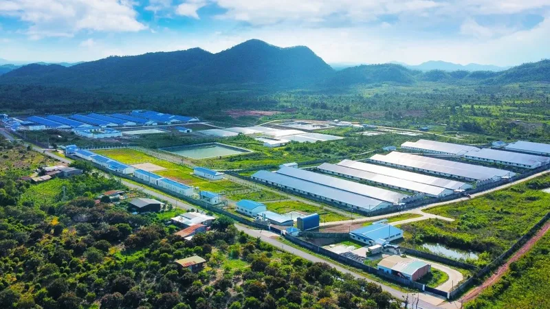 Tây Ninh thu hút các dự án chăn nuôi công nghệ cao