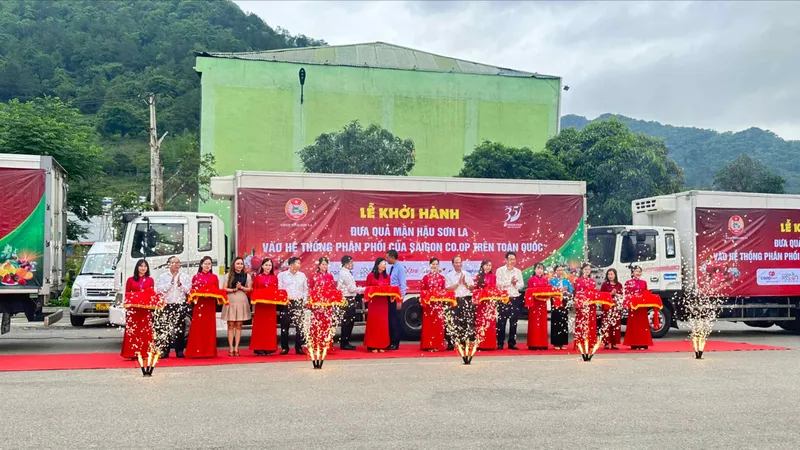 Saigon Co.op đã tổ chức lễ khởi hành đưa quả mận hậu Sơn La vào hệ thống phân phối của Saigon Co.op