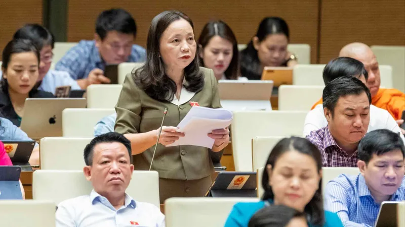 Cân nhắc giao Chính phủ quy định điều kiện, thủ tục cấp giấy phép kinh doanh vận tải hành khách